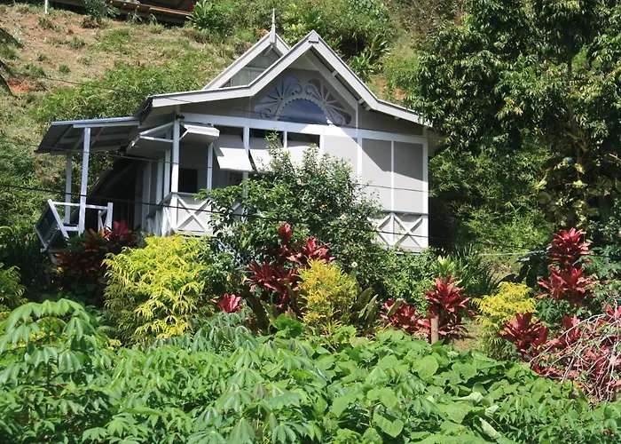 Gingerbread Cottage And Studio Fiji