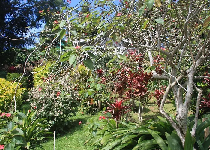 Gingerbread Cottage And Studio Fiji