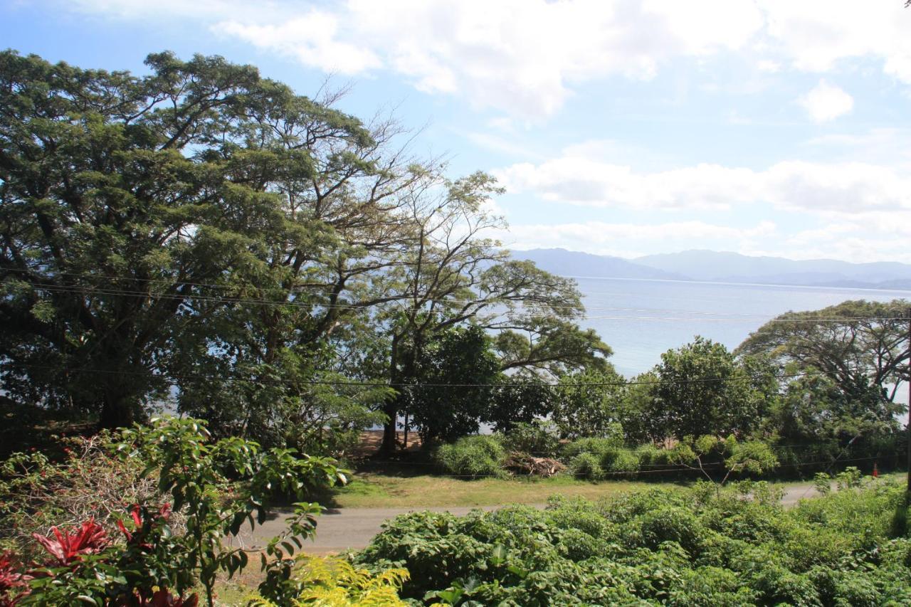 Gingerbread And Fiji Savusavu